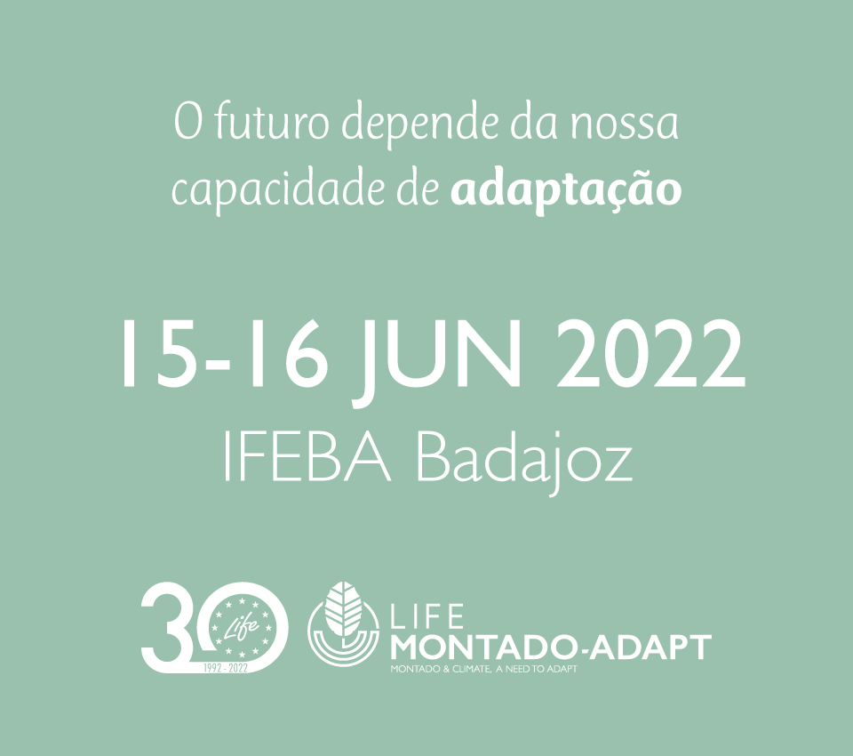 15-16 Jun 2022 - IFEBA Badajoz
