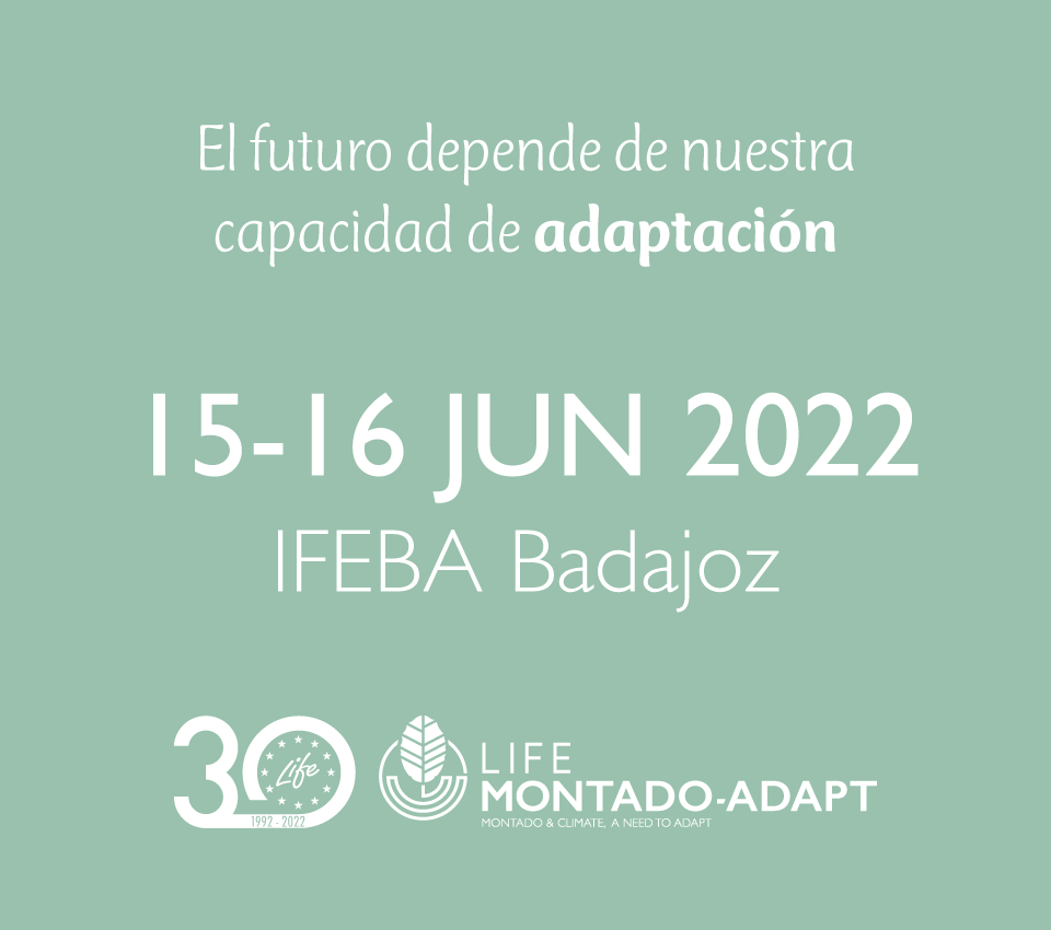 15-16 Jun 2022 - IFEBA Badajoz
